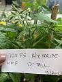 Click image for larger version

Name:	9BE8nvjrQjmpMSxd8pD+fQ.jpg
Views:	501
Size:	76.6 KB
ID:	2102