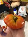 Click image for larger version

Name:	102xf2tomato.jpg
Views:	454
Size:	50.1 KB
ID:	2170